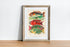 Rustic Wood Framed Great Barrier Reef Fishes Vintage Illustration Wall Art Print